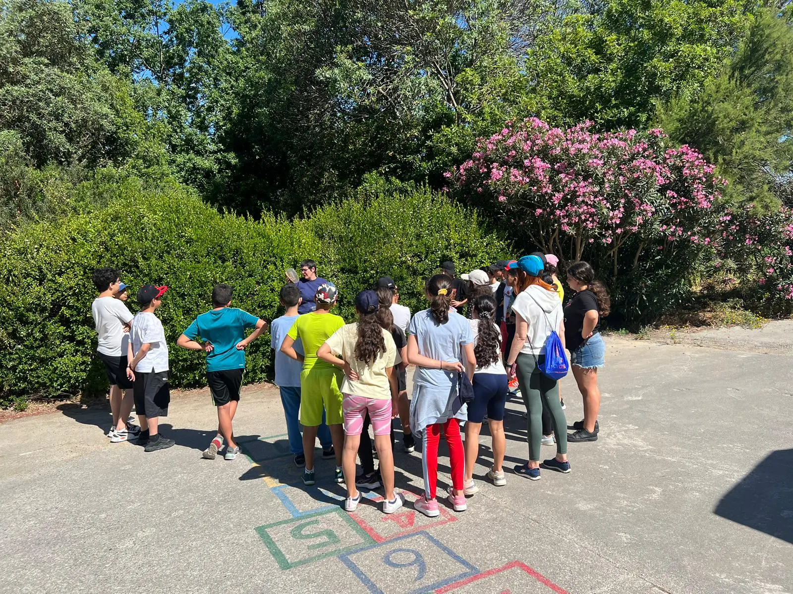 Educación Ambiental